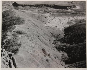 Image description is not available for 1976.002